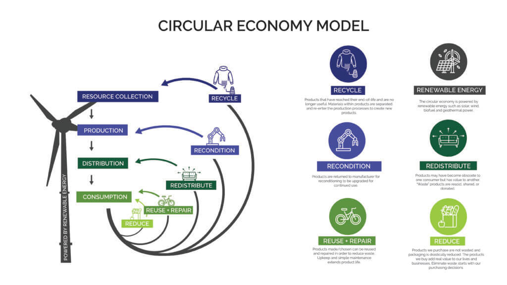An infographic that gives the overview of a circular economy model in which resources get collected and reused to reduce waste.
