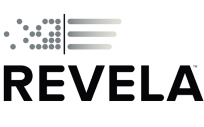 Sales and Marketing Lead